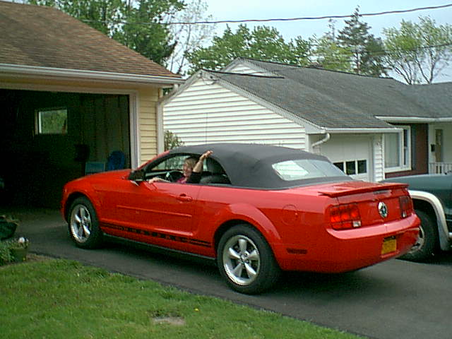 Mustang.JPG