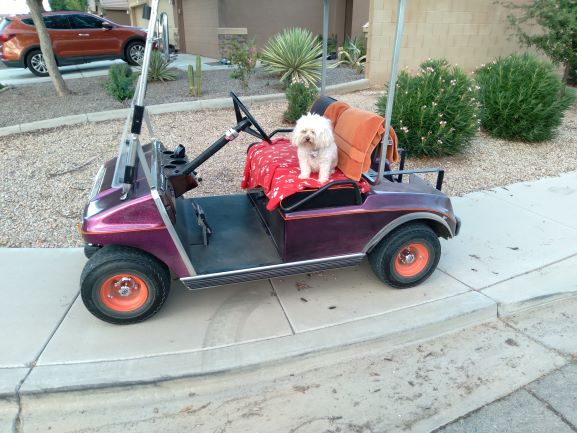 bentley's buggy-resized.jpg