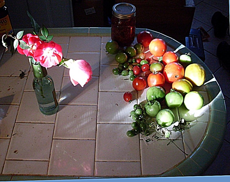 Winter Harvest 2.JPG