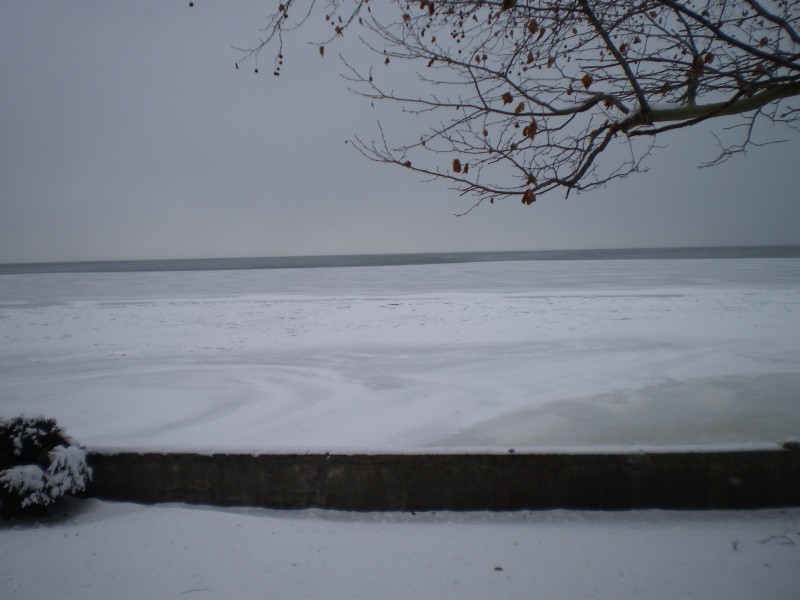 PC240531.JPG