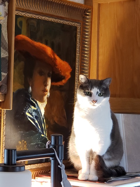 Monkey art critic.jpg