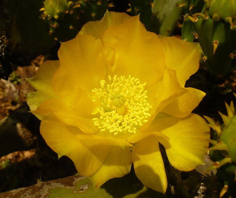 P1020167.JPG