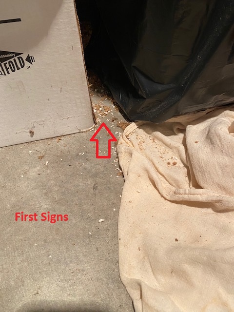 Evidence.jpg