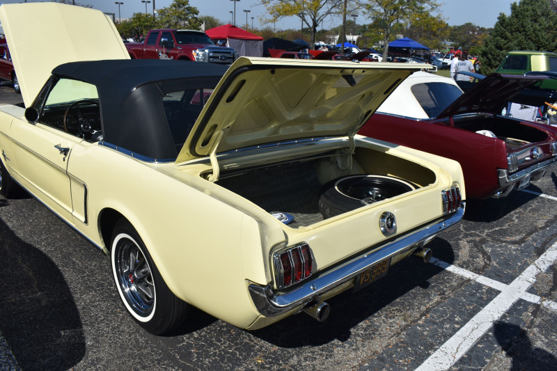 Ed Willis Mustang 5.JPG