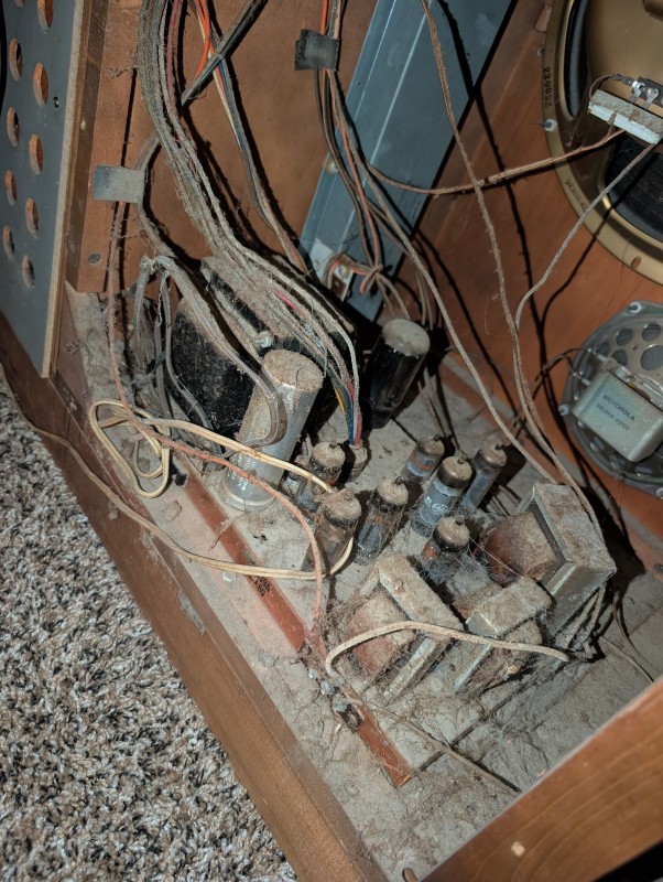 PXL_20260210_002849050.jpg